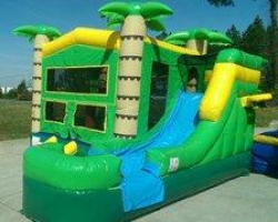 Tropical with Water Slide