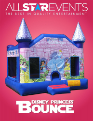 Disney Princess Bouncer