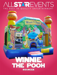 Winnie the Pooh Bouncer