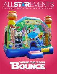 Winnie the Pooh Bouncer