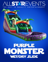 Purple Monster Slide