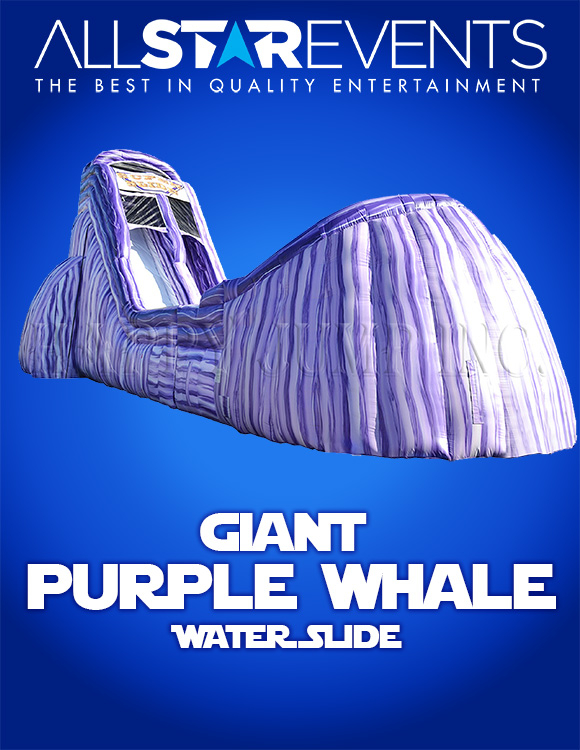 Giant Purple Whale Water Slide