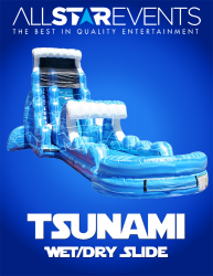 Tsunami Water Slide