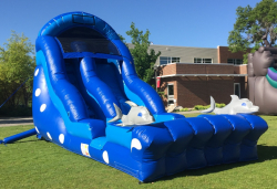 18' Dolphin Dive Water Slide
