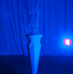 UV LED Blacklight Bulb