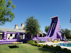 40ft Purple Monster Water Slide