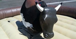 Mechanical Bull incl 1 staff (Round Ring)